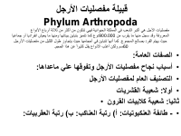 ج2_م5.pdf